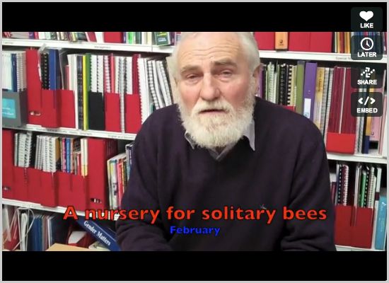 How to make a nursery for solitary bees