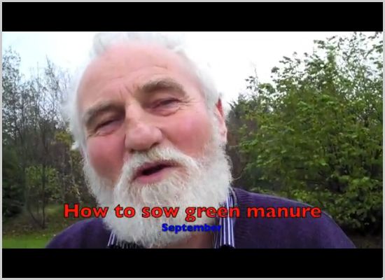September-How to sow green manure