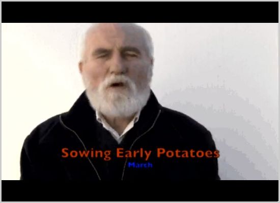 A Sowing Early Potatoes