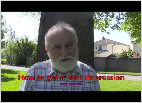 How to get a bark impressions