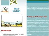 A Water Ecology Tank